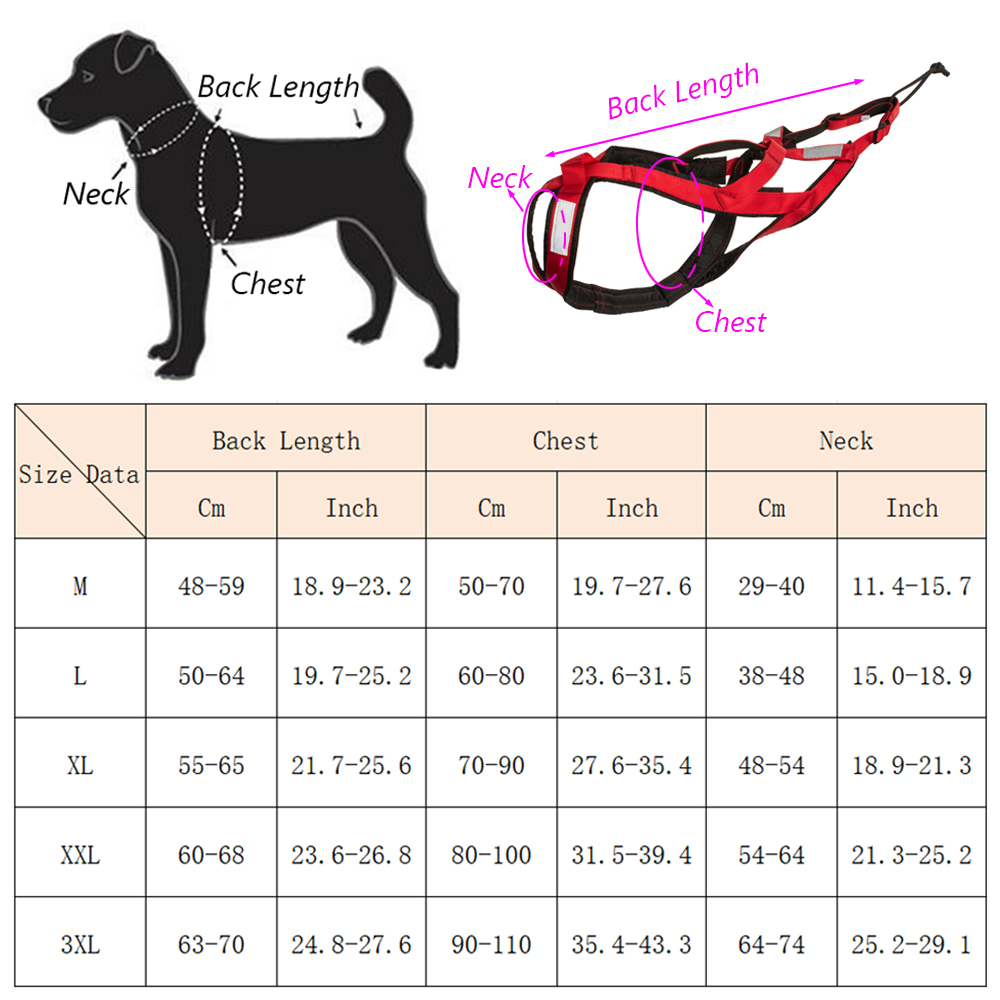 High Quality Big Dog Sledge Ha - đánh giá và giá Reflective Jacket Running
